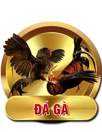 SHBET Xgarage | Trang Chủ SHBET.COM Chính Thức Uy Tín #1 2026 7 cock
